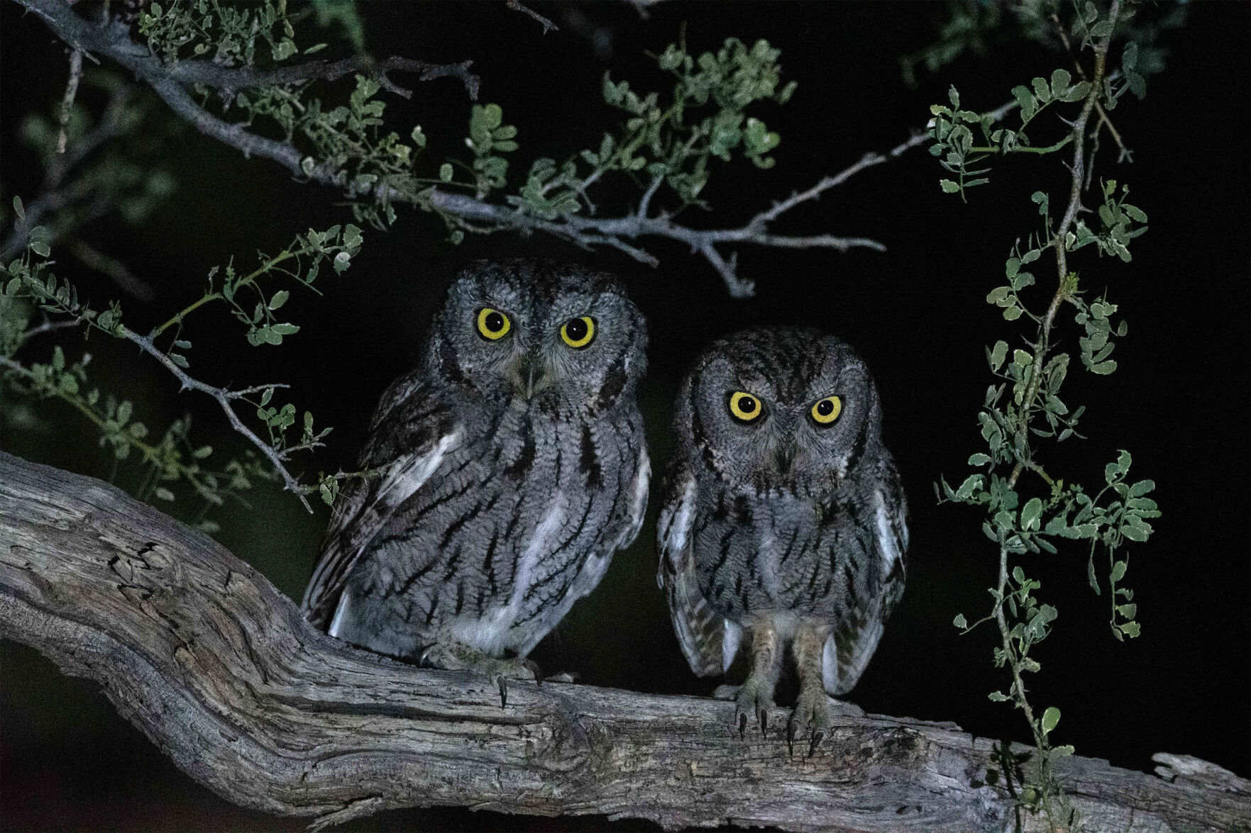 2022 Nature Adventure Photo Contest